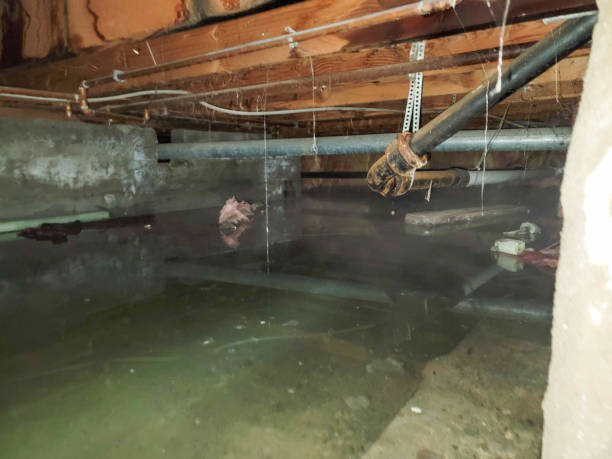 Best Residential water damage restoration  in Tutwiler, MS
