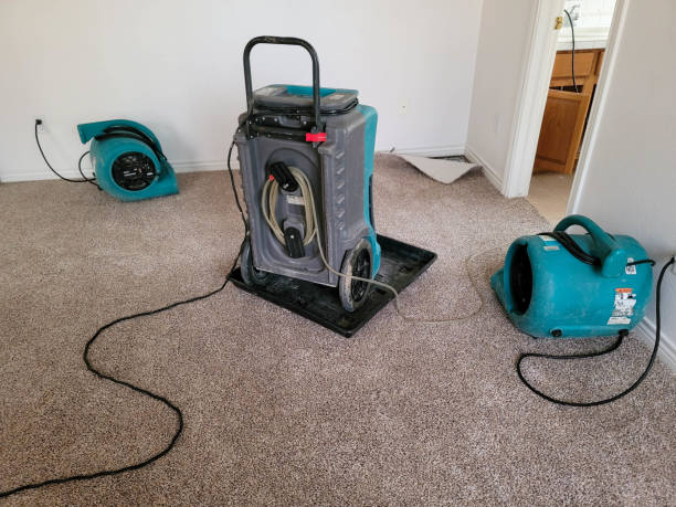 Best Flood restoration services  in Tutwiler, MS