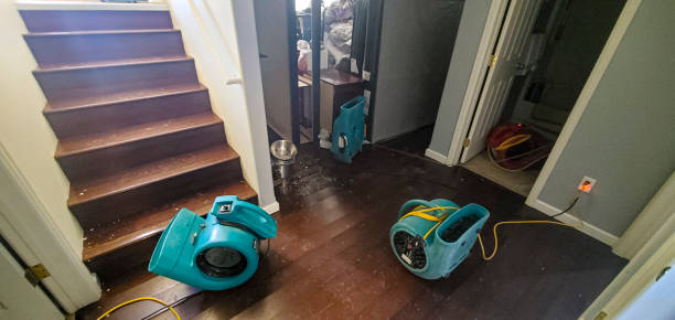 Best Ceiling water damage repair  in Tutwiler, MS