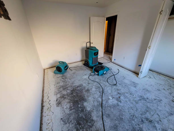Best Water damage contractors near me  in Tutwiler, MS