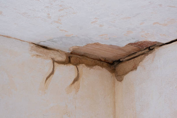 Best Commercial water damage restoration  in Tutwiler, MS