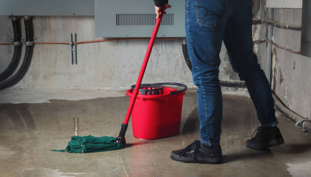 Best Local water damage restoration  in Tutwiler, MS