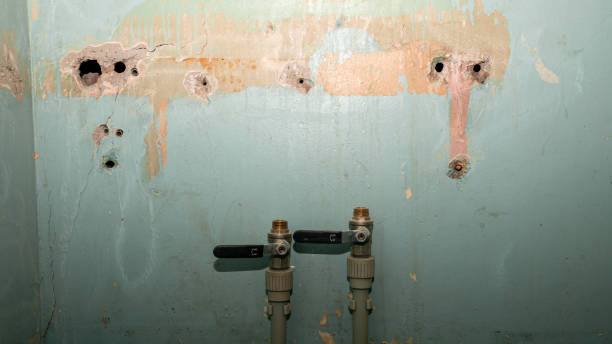 Best Water damage cleanup near me  in Tutwiler, MS