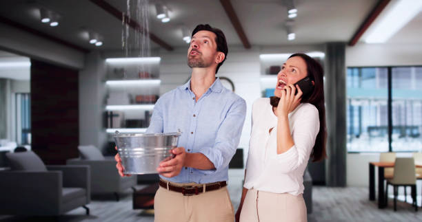 Best Mold removal after water damage  in Tutwiler, MS